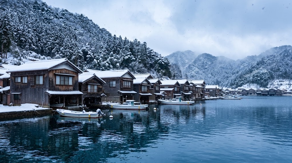 伊根舟屋海鷗