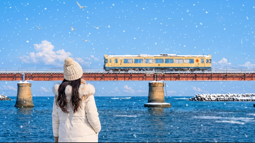 由良川鐵橋電車